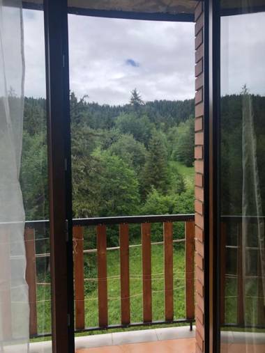 Bakuriani House in Forest