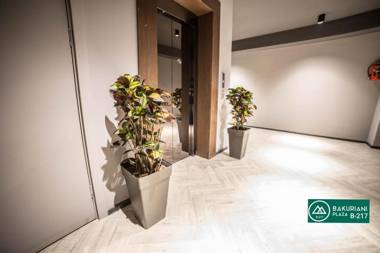 Milov's apartment in Bakuriani Plaza