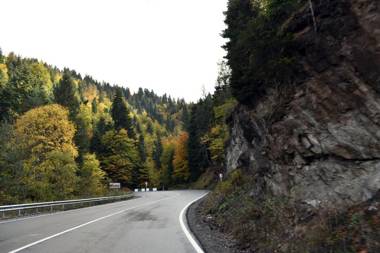 Bakuriani Park Residence Apartment #3