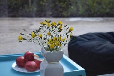 Bakuriani Park Residence Apartment #3