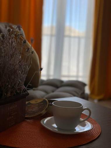 Bakuriani Plaza A317