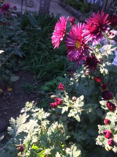 Alex's Cosy Guesthouse