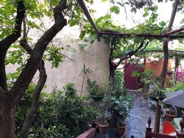 The house of the botanist