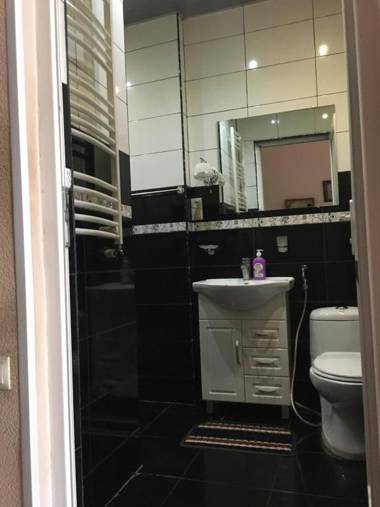 Tbilisi Central street cosy apartments