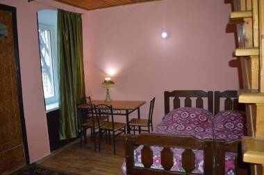 Vintage house 19 century