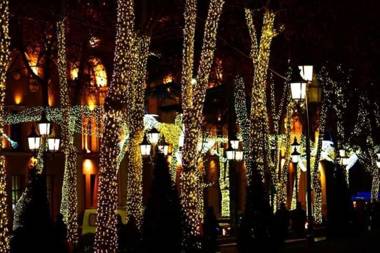 Maia's Apartment on Rustaveli