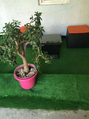 Maia's House in the City center