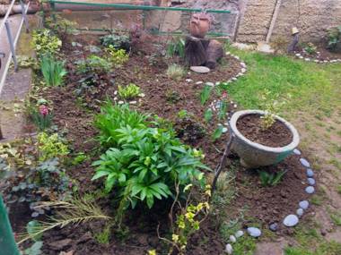 Apartment Zaziashvili 30