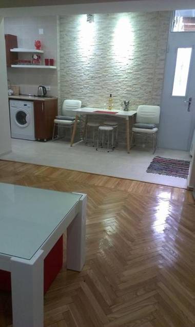 White Tiger in Center of Tbilisi