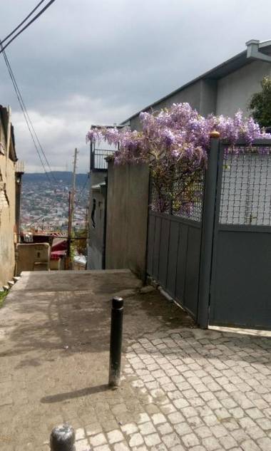 Apartment on Borbalo 16