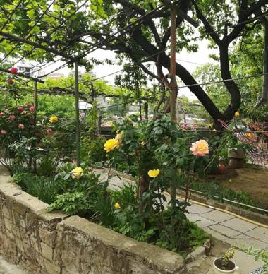 Tbilisi guesthouse Nini