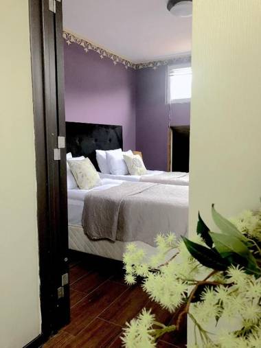 Penthouse Apartment 401