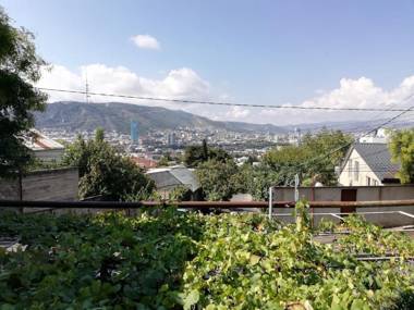 Tbilisi View House