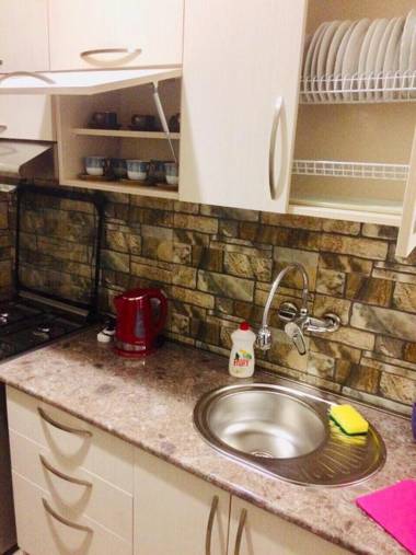 Apartment on Marjanishvili 16