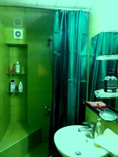 birdhome in Tbilisi (Maria)