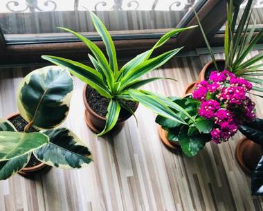 H&B apartments Akhvelediani II