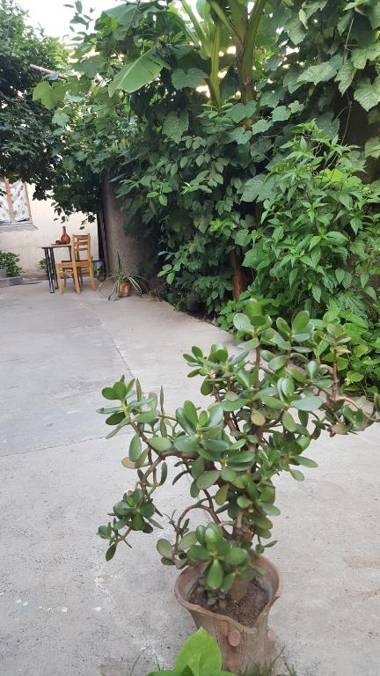 Guest House Family Inn