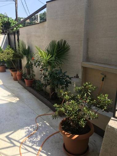 ул. Шиндиси № 10