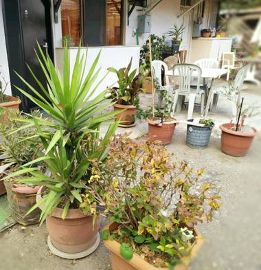 Апартаменты Italian Garden