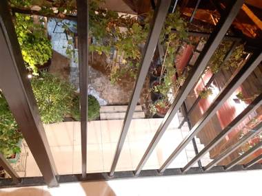 Magical forest House in the center of old City