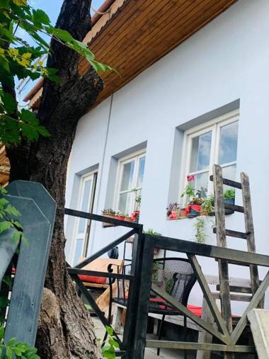 The best view on Tbilisi