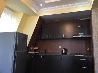 Apartment at Parnavaz