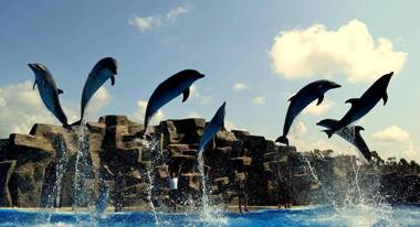 Apartment at Parnavaz