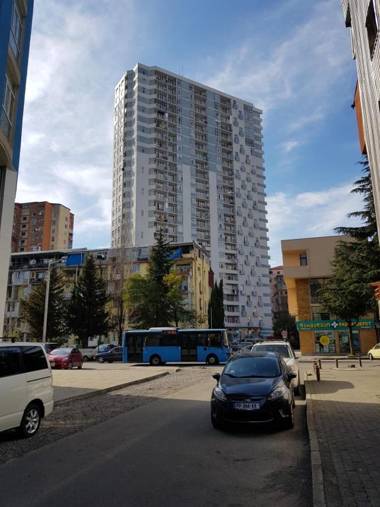 Apartment Inasaridze 18