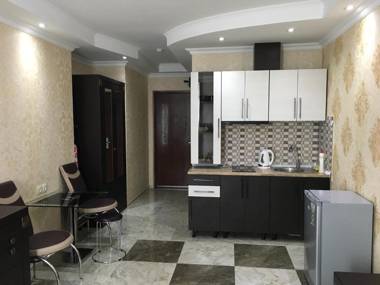 Dan Luxury Apartment