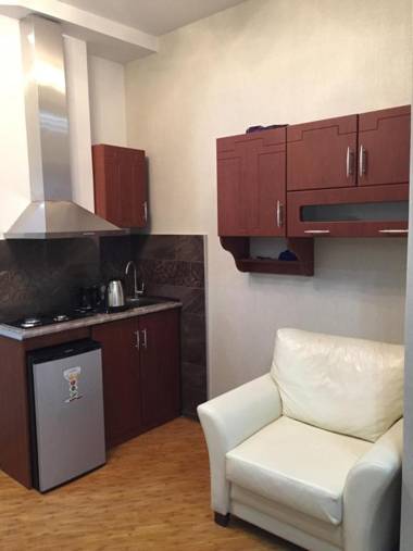 Apartment on Parnavaz Mepe Street