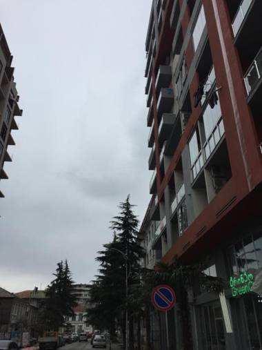 Apartment on Parnavaz Mepe Street