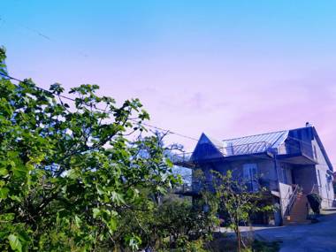 53 jincharadze street