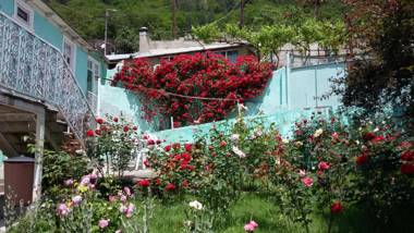 Guest House Green Rose
