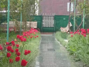 Emma's Guesthouse in Borjomi