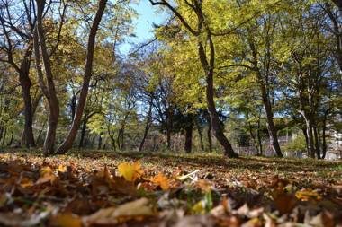 Guest house Likani 2017