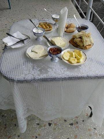 Guesthouse Vashlovani