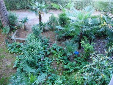 Kvartira Abazgaa 43/1