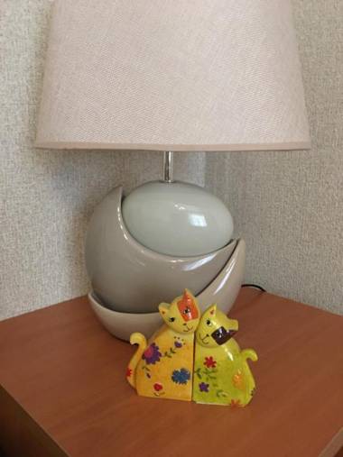 Guest house Svetlana