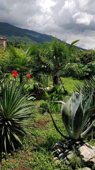 Tikhaya Gavan Guest House