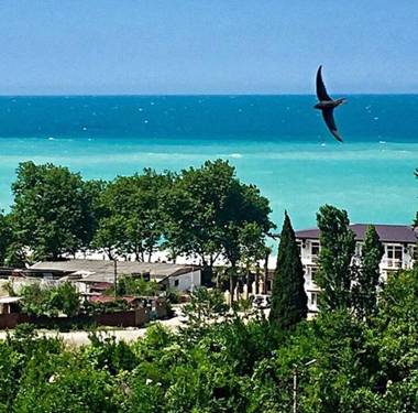 Apartment on Abazgaa 51