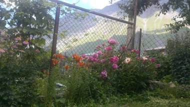 Nino Shavhaleti Guest House