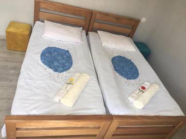 Home of Bella & Tamo