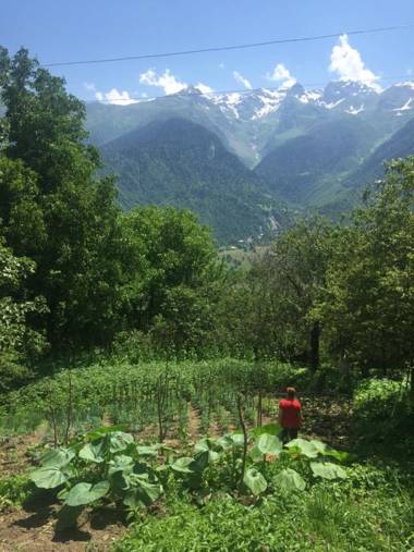 Guest House Lankhvri