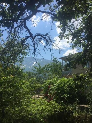 Guest House Lankhvri