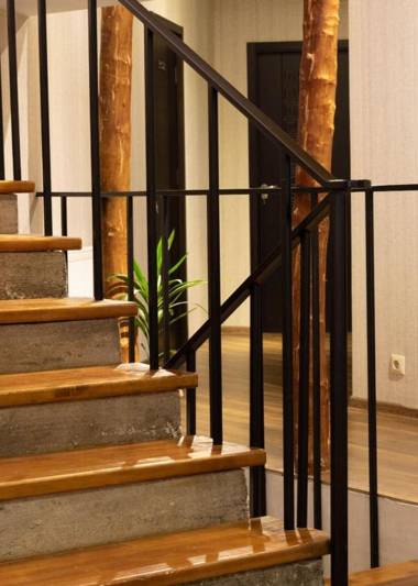 Mestia Hotel Amirani