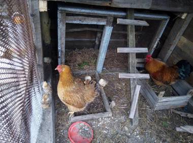 Tinyhouses Genacvale