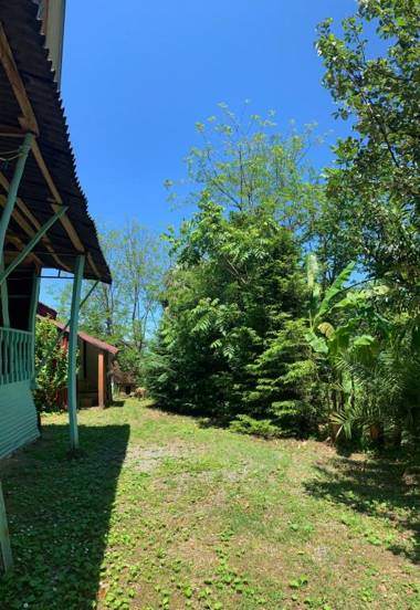 Wooden House Tsikhisdziri