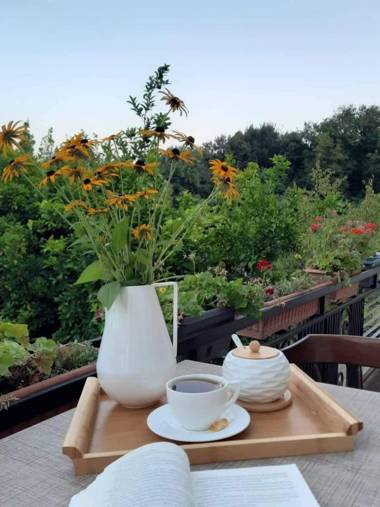 Guesthouse Hill Side