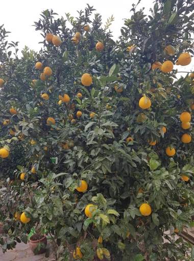 Guesthouse Hill Side