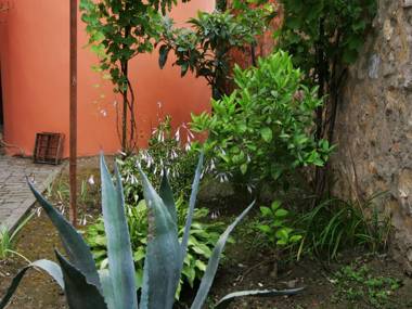 Two Towers Guest House